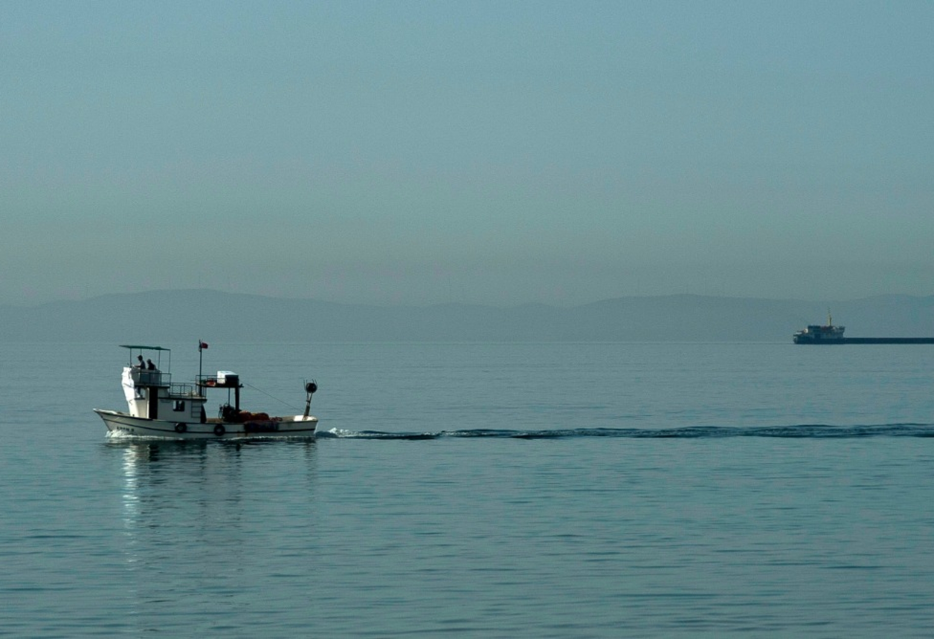 WhatsApp Image 2021-03-26 at 01.35.15