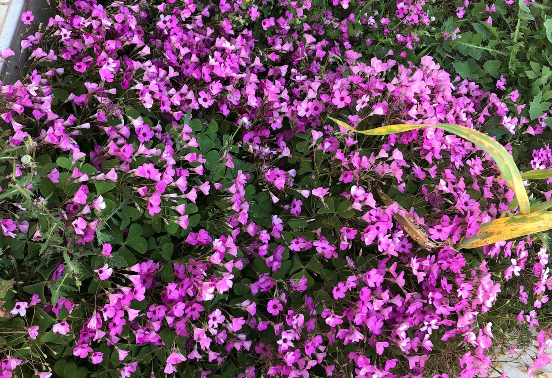 WhatsApp Image 2021-05-06 at 15.28.14