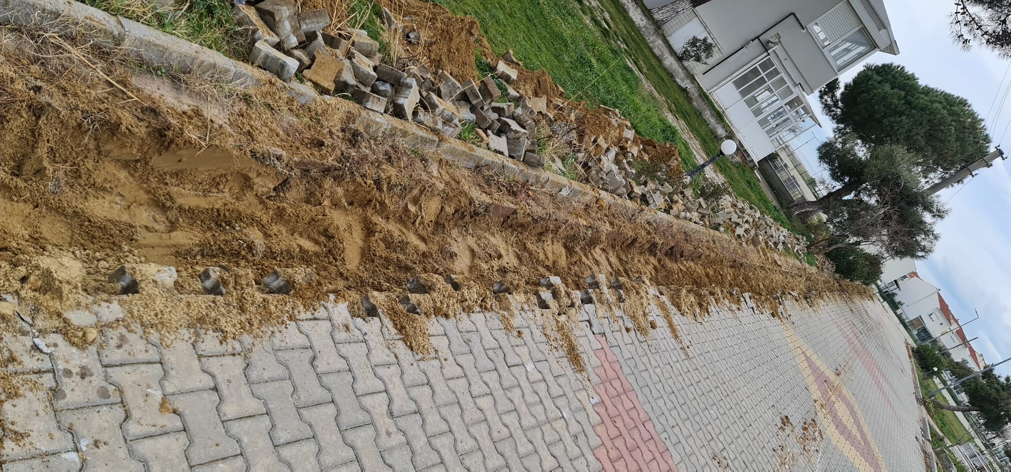 WhatsApp Image 2023-03-08 at 14.27.09 (1)